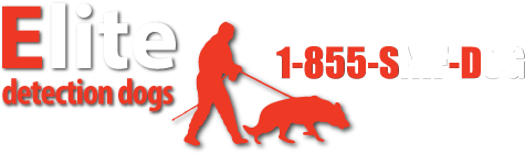 Image Logo Elite Detection Dogs